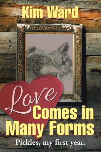 Cover image for Love Comes in Many Forms