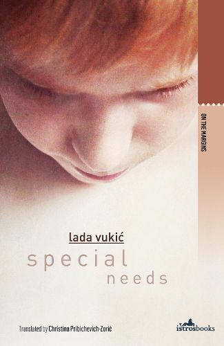 Cover image for Special Needs