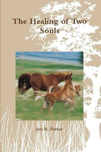 Cover image for The Healing of Two Souls