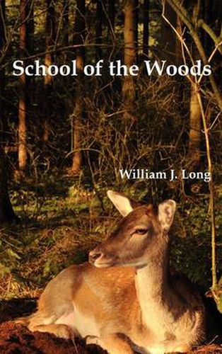 Cover image for School of the Woods: Some Life Studies of Animal Instincts and Animal Training