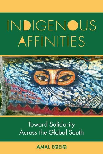 Cover image for Indigenous Affinities
