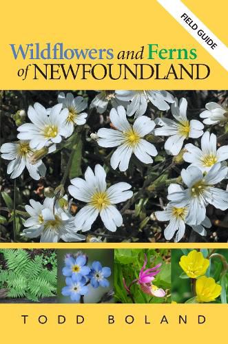 Cover image for Wildflowers and Ferns of Newfoundland: Field Guide