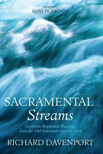 Cover image for Sacramental Streams