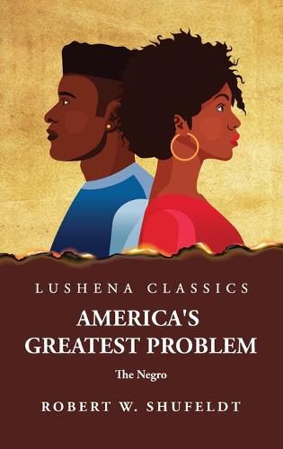 Cover image for America's Greatest Problem The Negro