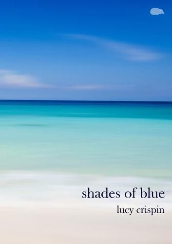 Cover image for Shades of blue