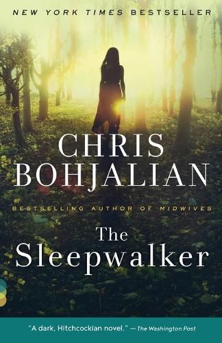 Cover image for The Sleepwalker: A Novel