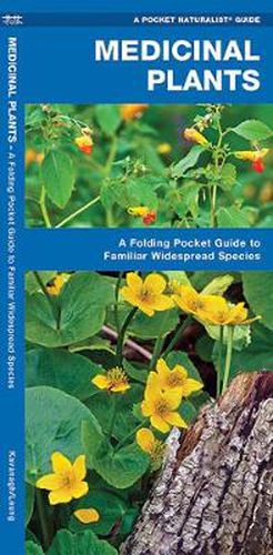 Cover image for Medicinal Plants: A Folding Pocket Guide to Familiar Widespread Species