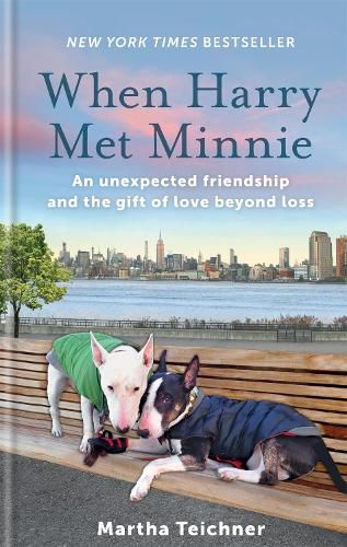 Cover image for When Harry Met Minnie: An unexpected friendship and the gift of love beyond loss