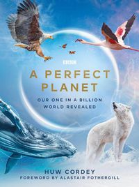Cover image for A Perfect Planet