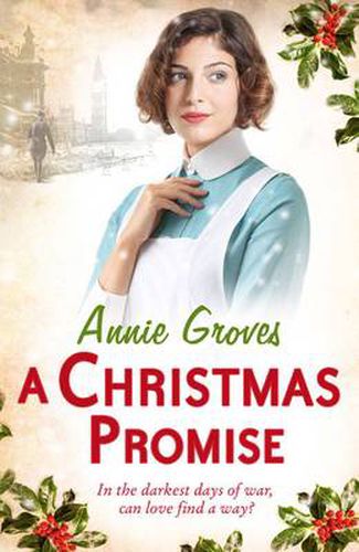 Cover image for A Christmas Promise