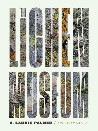 Cover image for The Lichen Museum