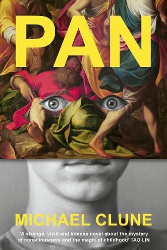 Cover image for Pan