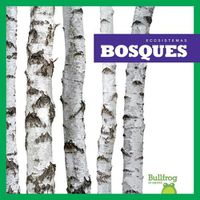 Cover image for Bosques (Forests)