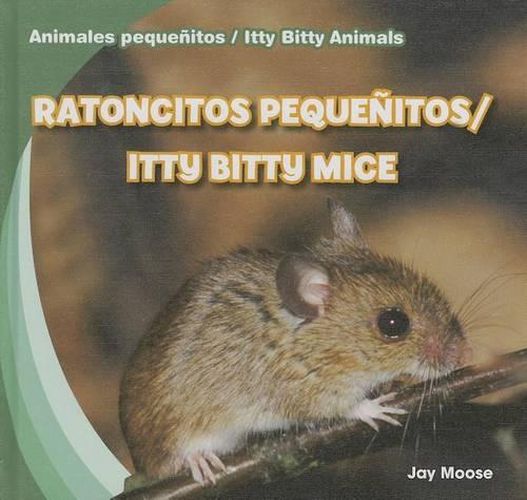 Cover image for Ratoncitos Pequenitos / Itty Bitty Mice