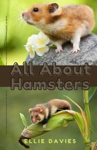 Cover image for All About Hamsters