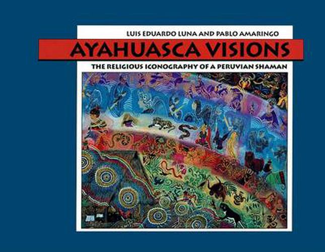 Cover image for Ayahuasca Visions: The Religious Iconography of a Peruvian Shaman