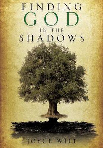 Cover image for Finding God in the Shadows