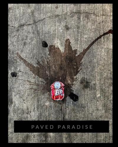 Cover image for Paved Paradise