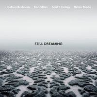 Cover image for Still Dreaming