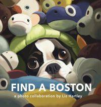 Cover image for Find a Boston