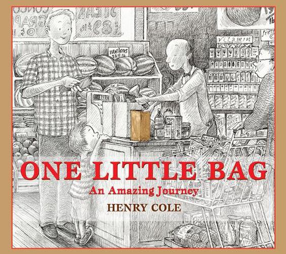 Cover image for One Little Bag: An Amazing Journey