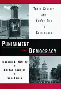 Cover image for Punishment and Democracy