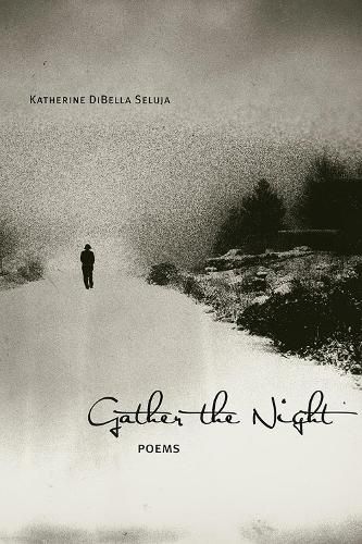 Cover image for Gather the Night: Poems