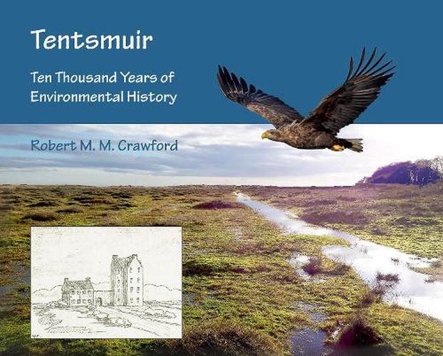 Cover image for Tentsmuir: Ten Thousand Years of Environmental History