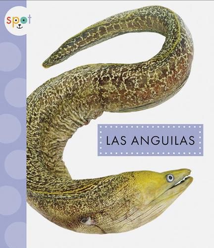 Cover image for Las Anguilas