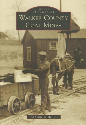 Cover image for Walker County Coal Mines