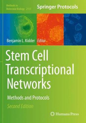 Cover image for Stem Cell Transcriptional Networks: Methods and Protocols