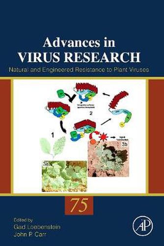 Cover image for Natural and Engineered Resistance to Plant Viruses