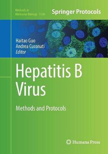Cover image for Hepatitis B Virus: Methods and Protocols