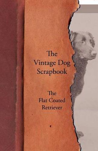 Cover image for The Vintage Dog Scrapbook - The Flat Coated Retriever