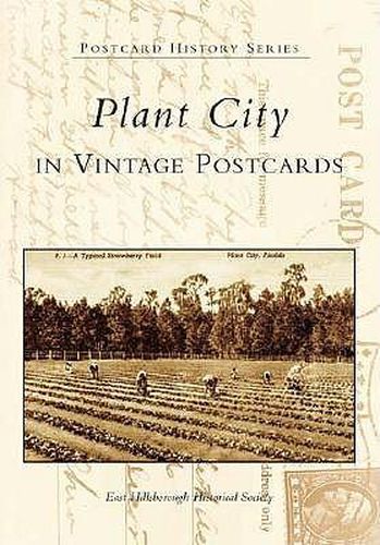 Cover image for Plant City: In Vintage Postcards