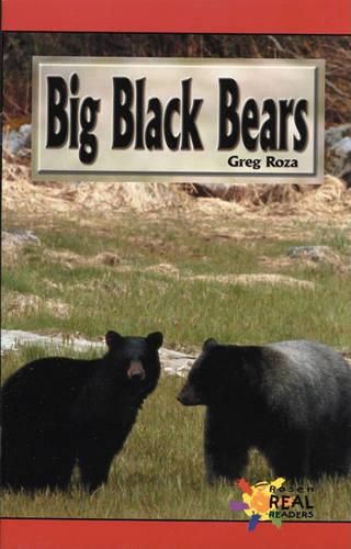 Big Black Bears