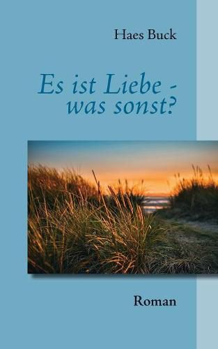 Cover image for Es ist Liebe - was sonst?: Roman