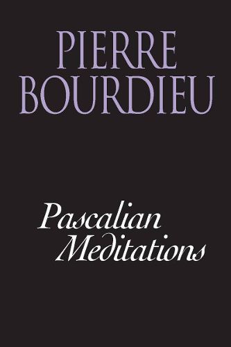 Cover image for Pascalian Meditations