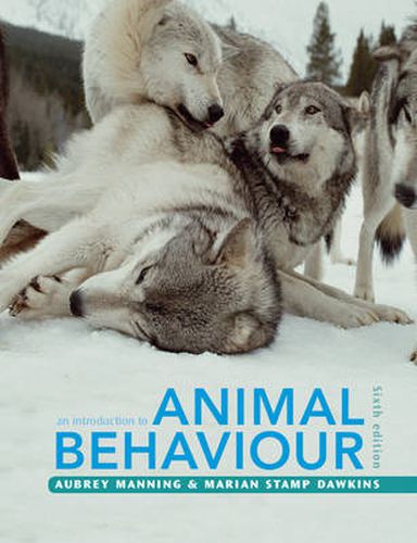 Cover image for An Introduction to Animal Behaviour