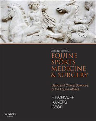 Cover image for Equine Sports Medicine and Surgery: Basic and clinical sciences of the equine athlete