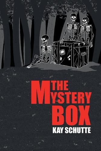 Cover image for The Mystery Box