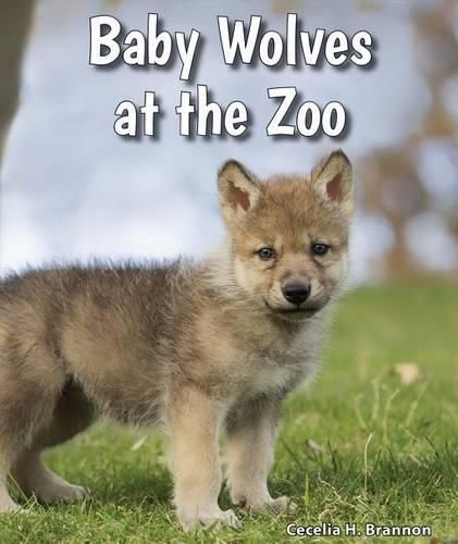 Cover image for Baby Wolves at the Zoo