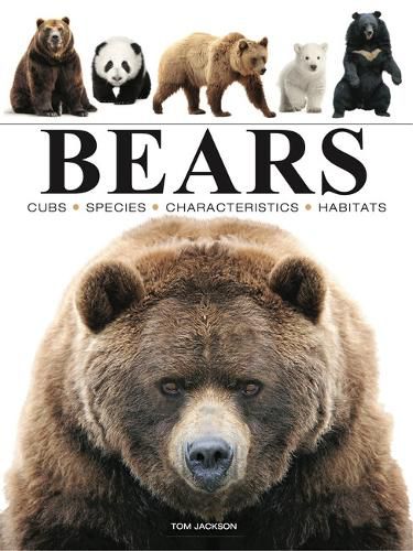 Cover image for Bears