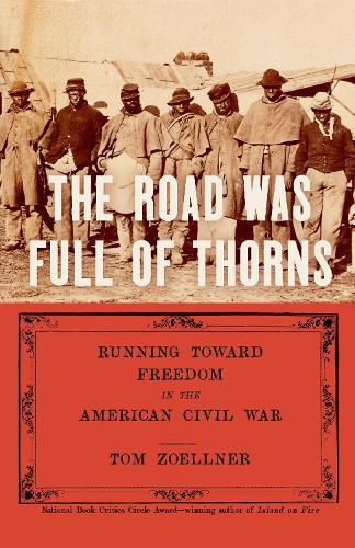 Cover image for The Road Was Full of Thorns