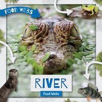 Cover image for River Food Webs