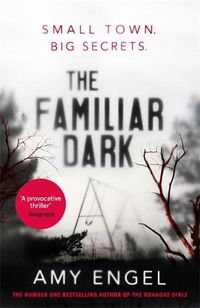 Cover image for The Familiar Dark: The must-read, utterly gripping thriller you won't be able to put down