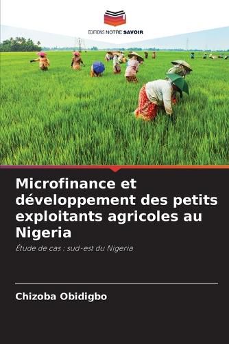 Cover image for Microfinance et developpement des petits exploitants agricoles au Nigeria