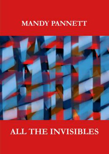 Cover image for All the Invisibles