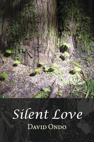 Cover image for Silent Love