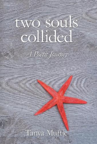 Cover image for Two Souls Collided: A Poetic Journey